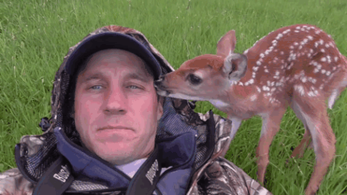This Little Fawn Didn't Want To Leave The Human Who Saved Her Life