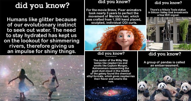 Awesome Facts You Probably Never Learned At Babe