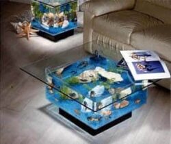 Coffee Table Aquarium