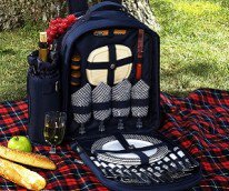 happy picnic backpack