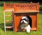 Dog House