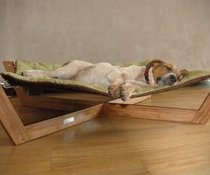 dog hammock bed with canopy