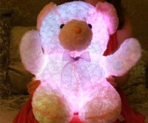 light up teddy