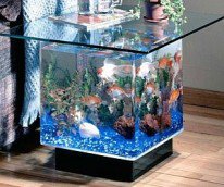 Aquarium End Table