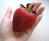 Giant Strawberry Seeds