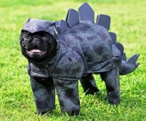 stegosaurus funny