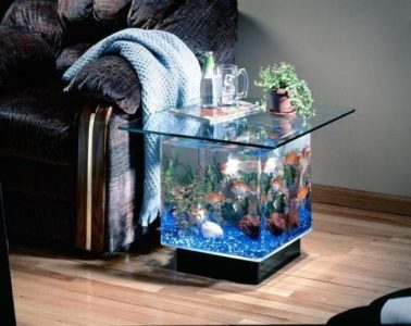 25 Awesome Aquariums You Wish You Owned