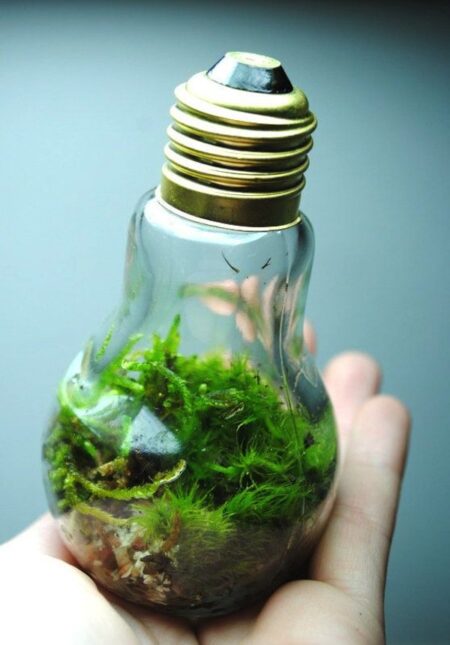 16 Creative Ways To Re-use Old Light Bulbs You Never Thought Of