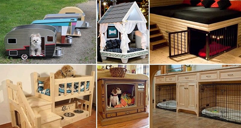 13 Of The Coolest Beds Every Dog Would Love