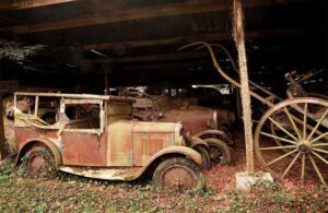 They Didn't Know Their Grandfather's Car Collection Existed Let Alone ...