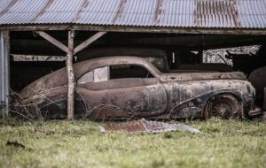 They Didn't Know Their Grandfather's Car Collection Existed Let Alone ...