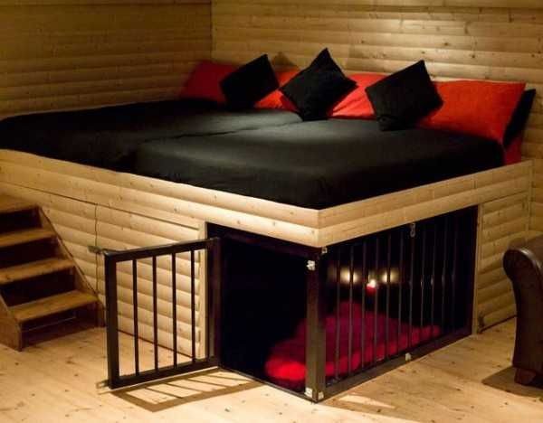 cool bed dog bed