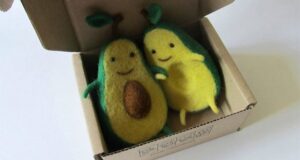 cute avocado teddy