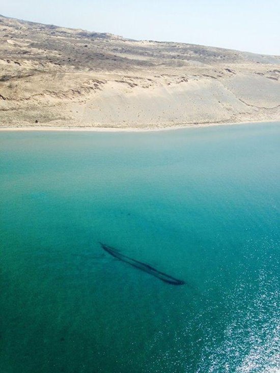 lake-michigan-shipwreck-james