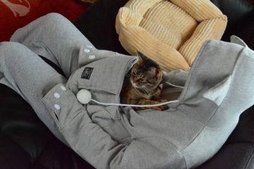 The 'Mewgaroo' Hoodie Has A Kangaroo Pouch So You Can Carry Your Cat