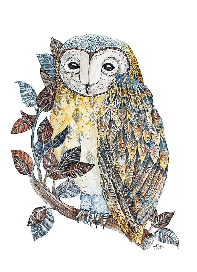 nora-illustration-single-owl