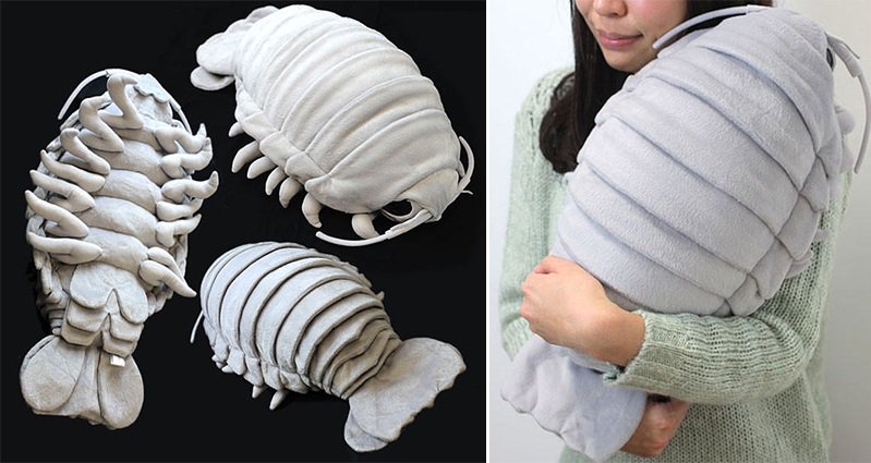 giant stuffed isopod