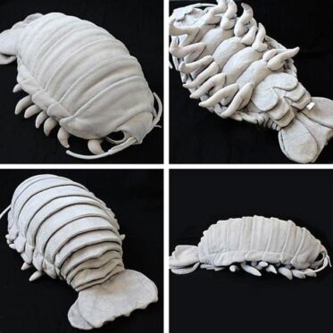 giant isopod plushie