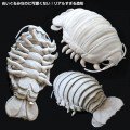 giant isopod plushie