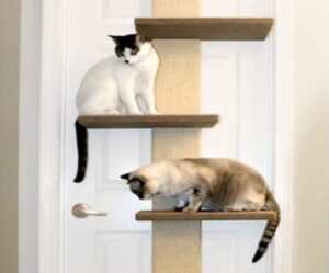 Multi-Level Cat Climber