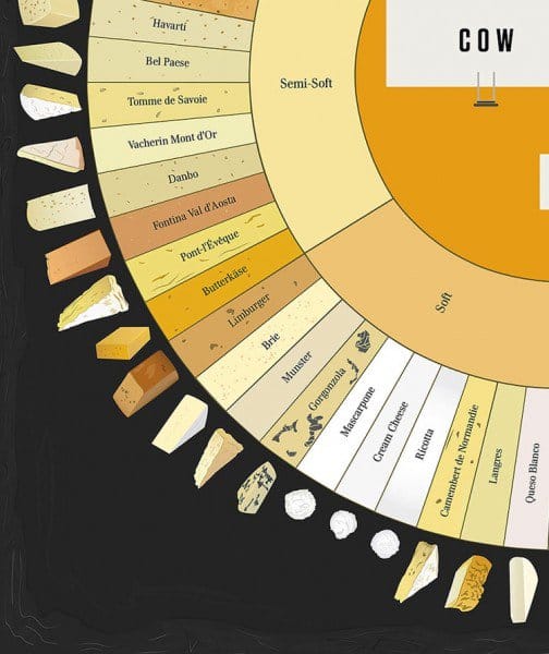 Cheeselovers Will Delight In This Wondrous Giant Cheese Chart