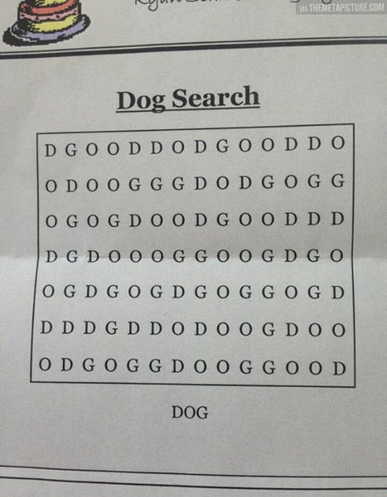 jerks-dog-search