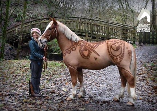 custom horse tack