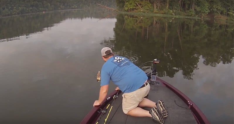 These Guys Went Fishing But Came Back With Kittens