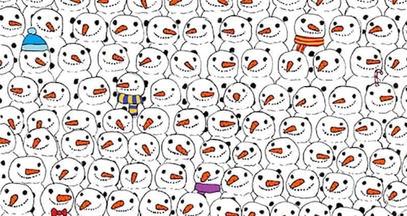 Can You Spot The Panda Hidden In This Picture?