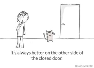 18 Important Life Lessons From Cats We Can All Learn From