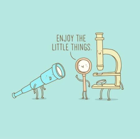 16 Cute Pun-Filled Illustrations Involving Everyday Objects