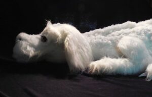 falkor toy