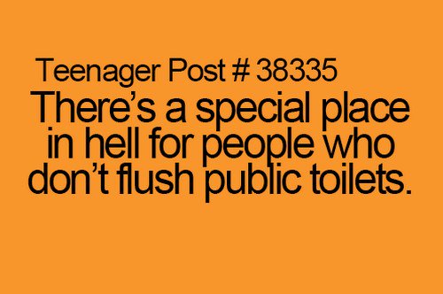 flush toilets truth