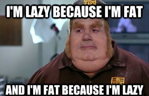 funny memes about getting fat