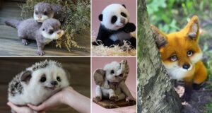 These Are The Most Adorable Toy Animals That We've Ever Seen