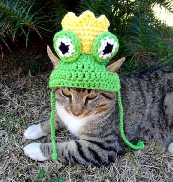 15 Pets Wearing The Most Awesome Crocheted Hats You'll Ever See