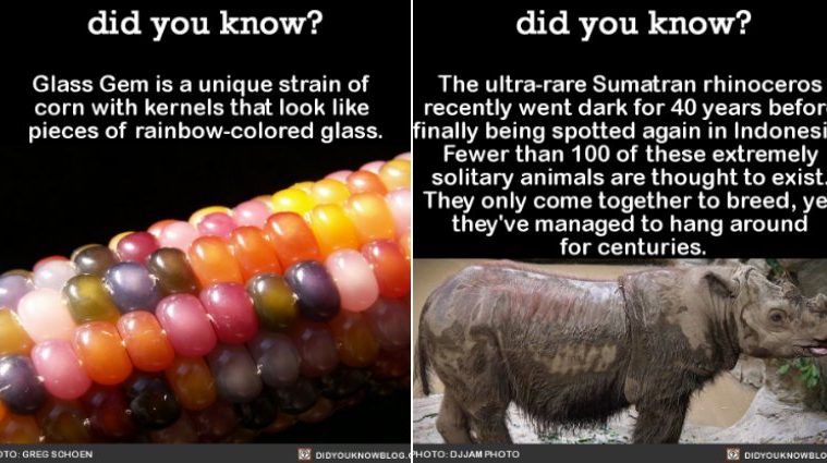 12 Amazing Facts About Nature That Will Blow Your Mind