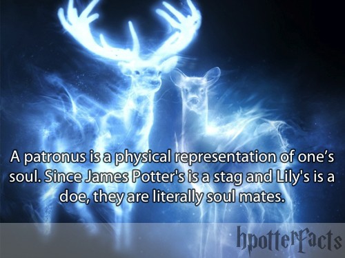 harry-potter-facts-soulmates