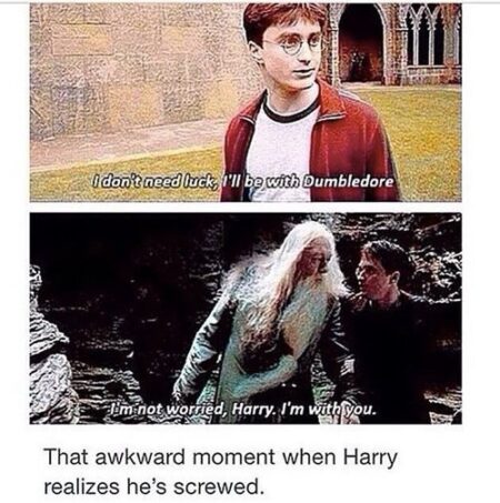 13 Awesome Posts All 'Harry Potter' Fans Need To See