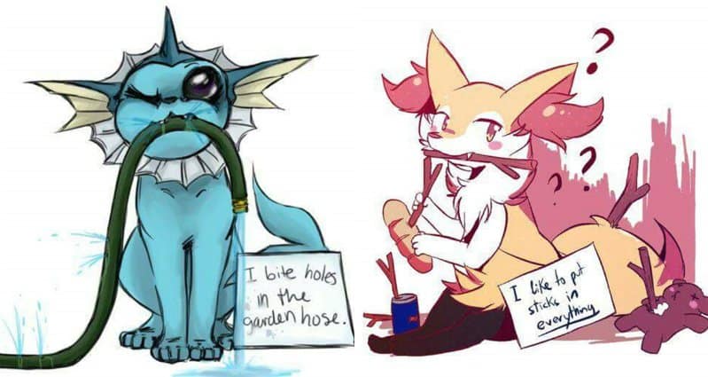 12 Pokemon Who Ve Been Bad And Are Now Being Shamed Part 1