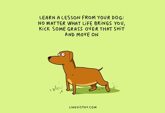 dog-owners-understand-lesson