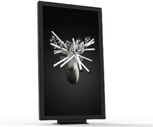 Digital Art Display Frame