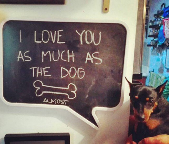 funny love notes dog