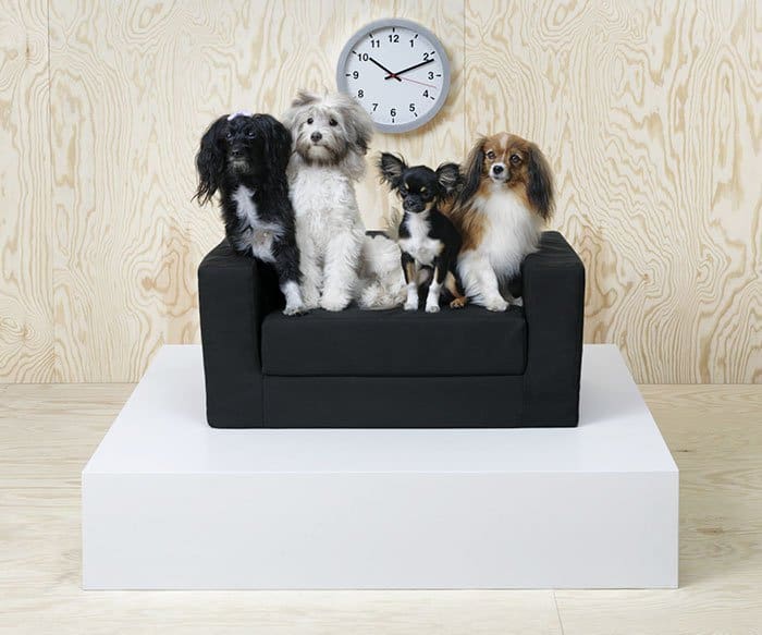 IKEA Pet Furniture Collection dogs on sofa