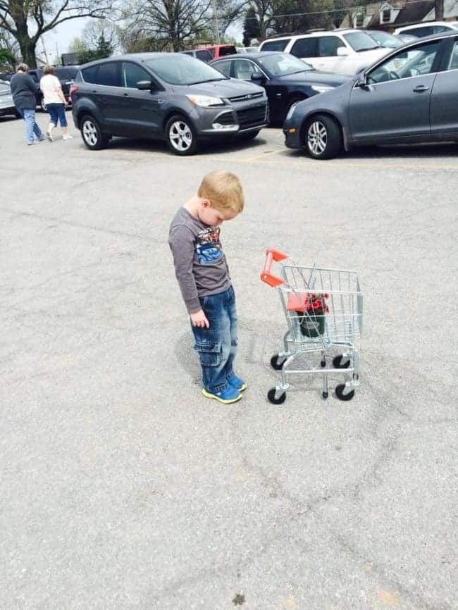 The Joys Of Shopping With Kids small trolley