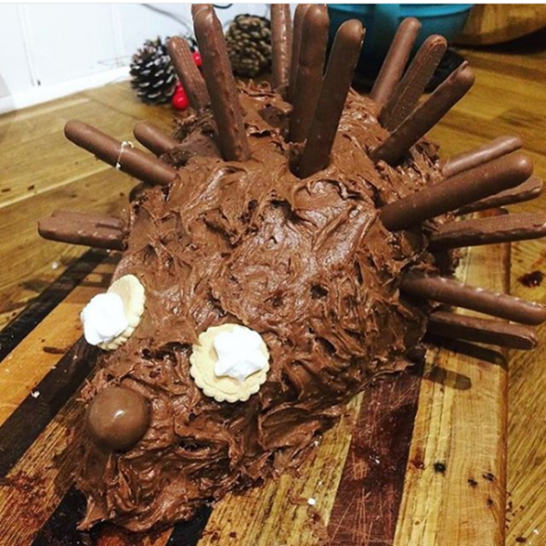 15 Epic Cake Failures That Look Nothing Like The Original