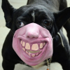 There Is A Company Selling Dog Muzzles That Look Like Human Faces And ...