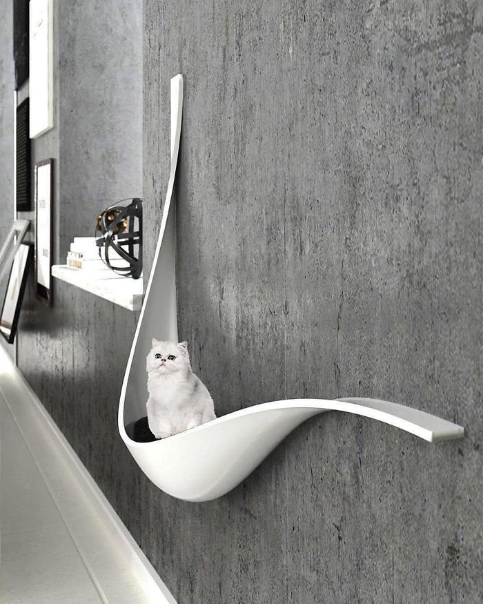 cat wall lounge unique furniture designs