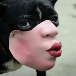 human muzzle for people