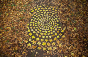 Land Artist James Brunt Creates Mesmerizing Mandalas And Spirals With ...